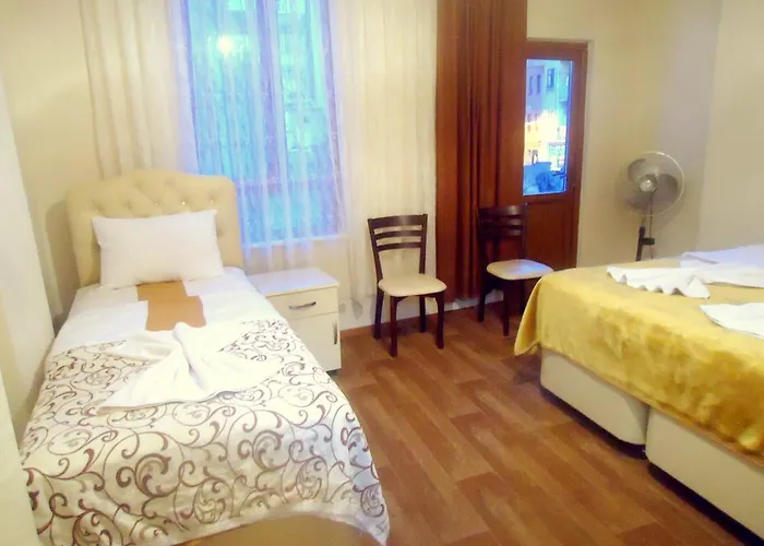 Sur 1 2* Provincia di Istanbul